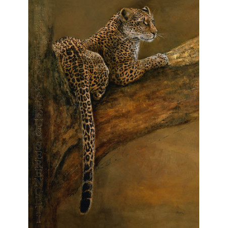 Beck: Panthera du Serengeti 70x100cm