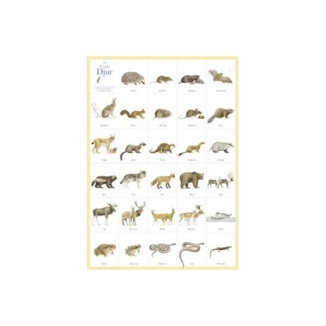29 st svenska djur tecknade av Lars Klinting. 50×70cm